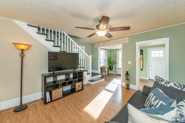 living room featuring ceiling fan, ornamental molding, and light wood-type flooring