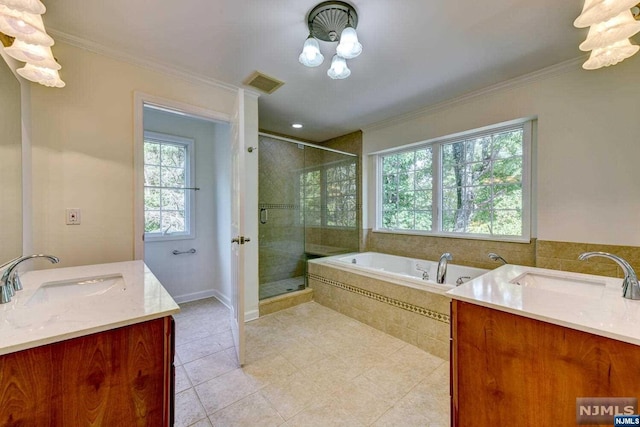 bathroom featuring vanity, crown molding, and a wealth of natural light