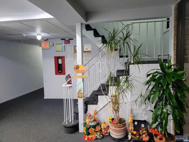 stairway with a drop ceiling and carpet floors