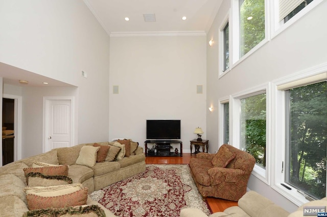 living room with crown molding, hardwood / wood-style floors, and a high ceiling