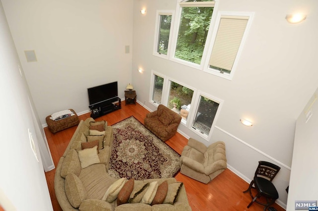 living room featuring hardwood / wood-style floors and a high ceiling