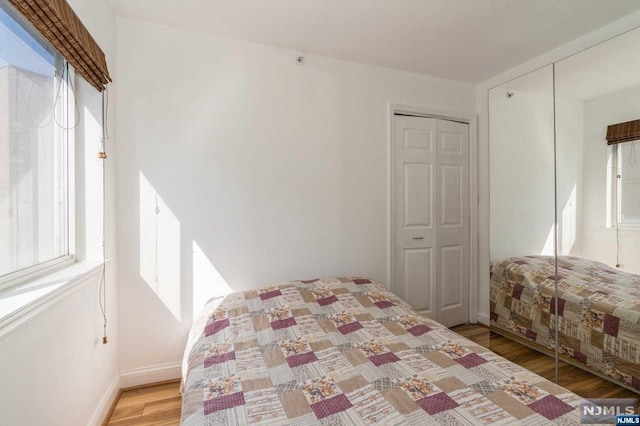 bedroom featuring multiple windows and light hardwood / wood-style flooring