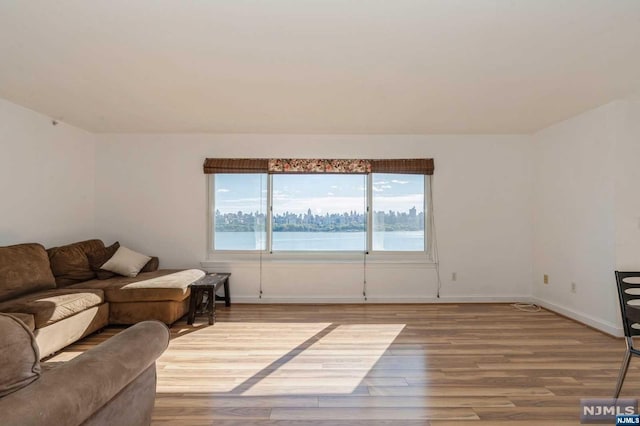 living room with hardwood / wood-style flooring and a water view