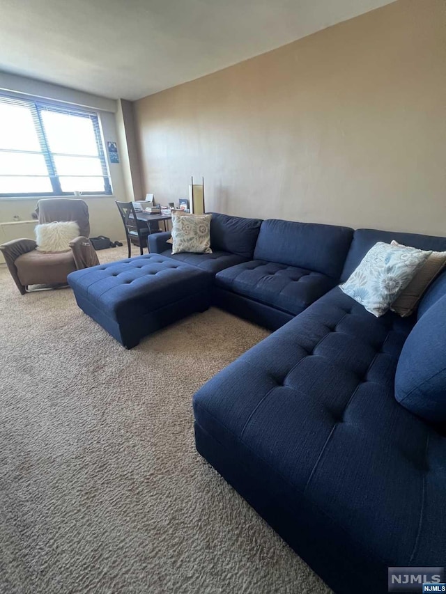 living room with carpet flooring