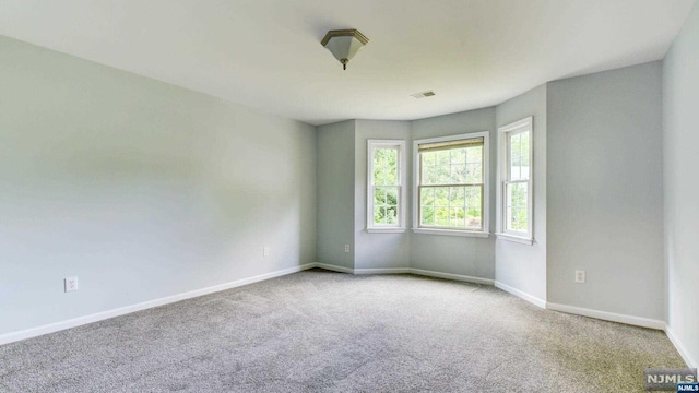 spare room featuring carpet flooring