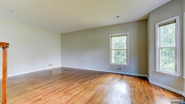 spare room featuring plenty of natural light and light hardwood / wood-style flooring