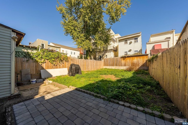 view of yard featuring a patio