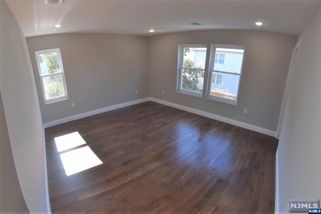 spare room featuring lofted ceiling, a wealth of natural light, and dark wood-type flooring