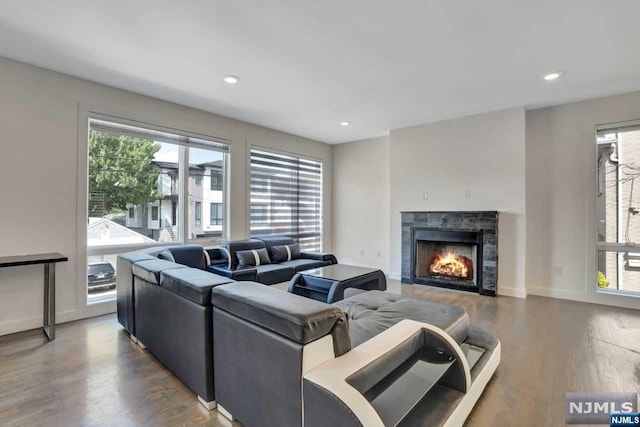 living room featuring wood-type flooring