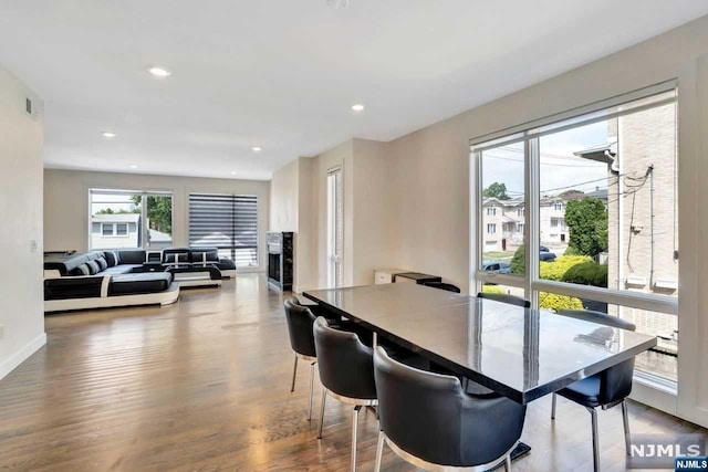 dining room with hardwood / wood-style floors