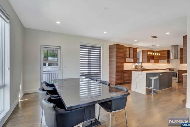 dining space featuring wood-type flooring and a wealth of natural light