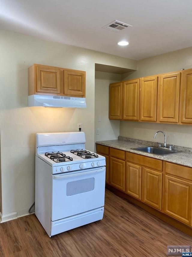 kitchen featuring dark hardwood / wood-style floors, sink, and white gas range oven