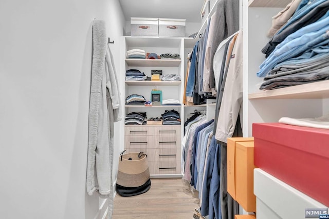 spacious closet featuring light wood-type flooring