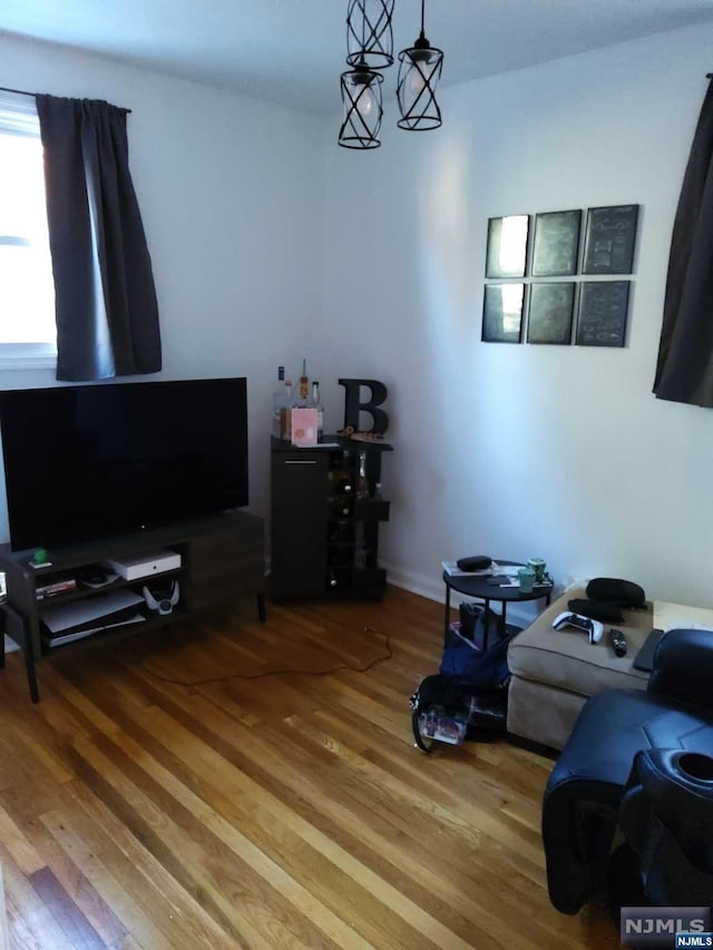 living room featuring wood-type flooring