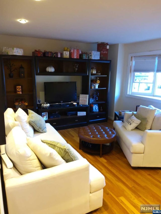 living room featuring wood-type flooring