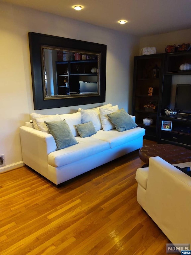 living room with wood-type flooring