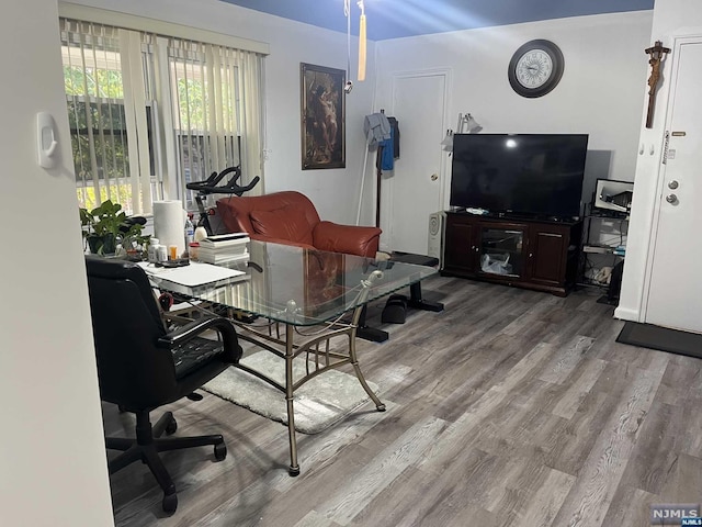 interior space featuring hardwood / wood-style floors