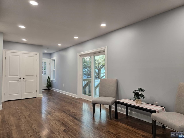 living area with dark hardwood / wood-style floors