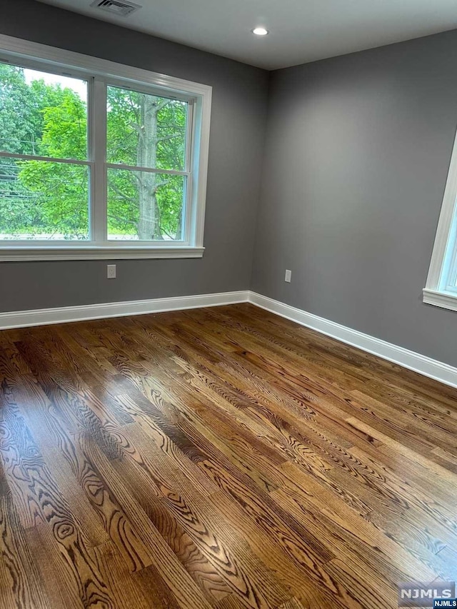 spare room featuring dark hardwood / wood-style flooring and a wealth of natural light