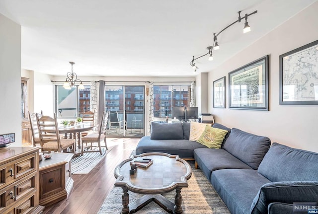 living room with hardwood / wood-style flooring, rail lighting, a wealth of natural light, and a chandelier