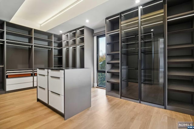 walk in closet with light wood-type flooring