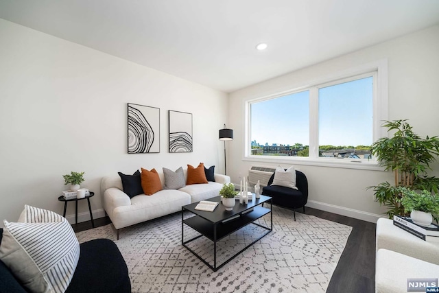 living room with a wall mounted AC and wood-type flooring