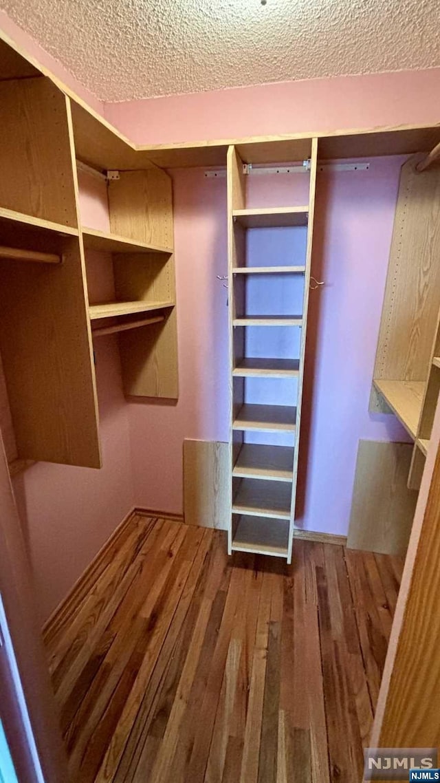 walk in closet with wood-type flooring