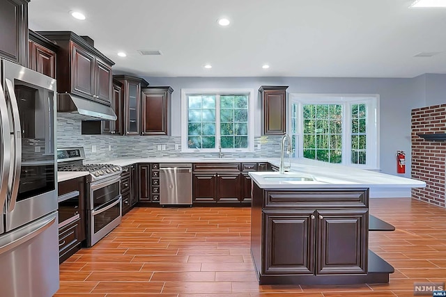 kitchen featuring kitchen peninsula, dark brown cabinetry, light hardwood / wood-style flooring, and stainless steel appliances