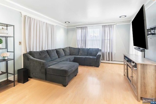 living room with crown molding and light wood-type flooring