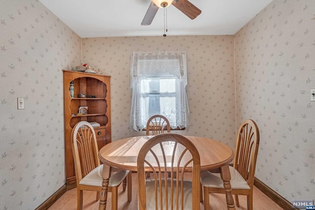 dining room with ceiling fan and light hardwood / wood-style floors