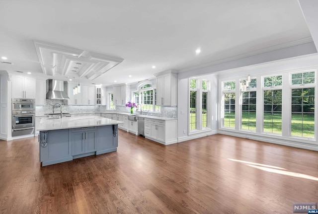 kitchen featuring white cabinetry, wall chimney exhaust hood, dark hardwood / wood-style floors, and appliances with stainless steel finishes