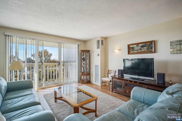 living room with hardwood / wood-style floors and a textured ceiling