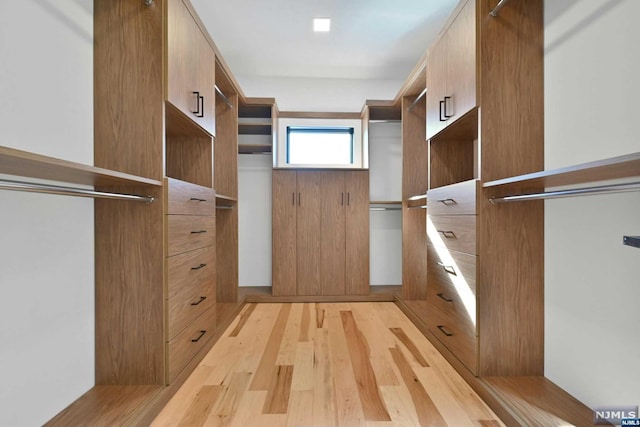 spacious closet featuring light hardwood / wood-style flooring