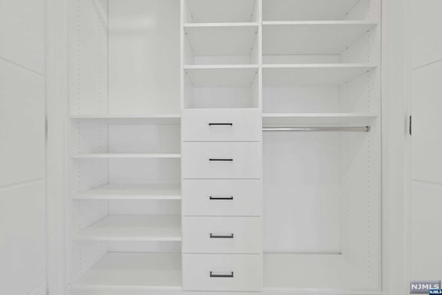 view of closet