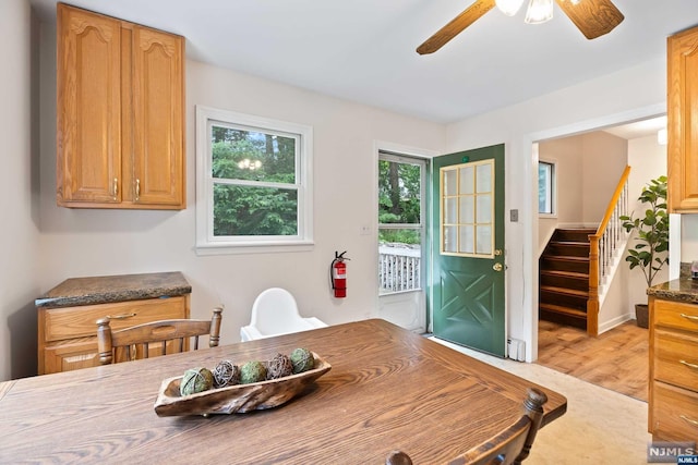 dining space featuring ceiling fan and light wood-type flooring