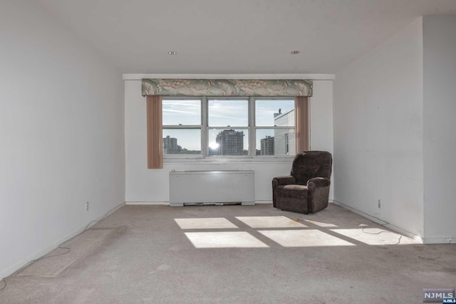 unfurnished room with light colored carpet and radiator