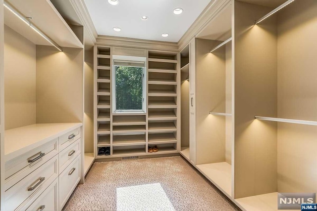 spacious closet featuring light carpet