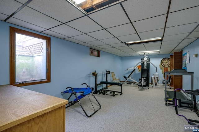 exercise area featuring carpet flooring and a drop ceiling