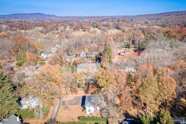 bird's eye view with a mountain view