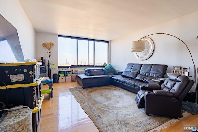 living room with hardwood / wood-style flooring and floor to ceiling windows