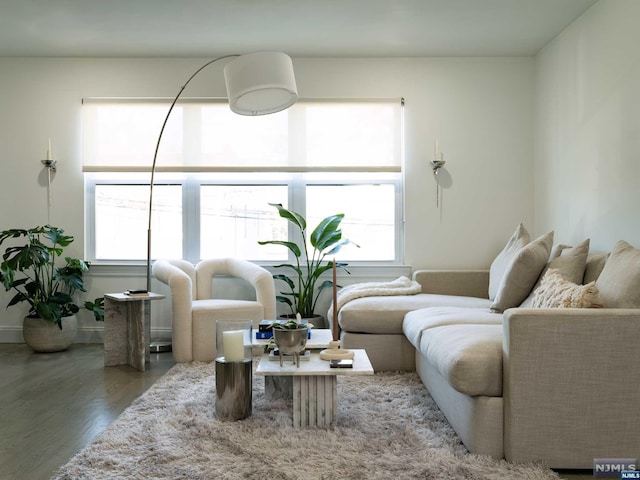 living room with hardwood / wood-style floors