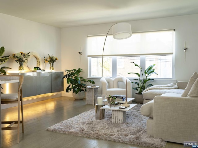 living room featuring hardwood / wood-style floors and plenty of natural light