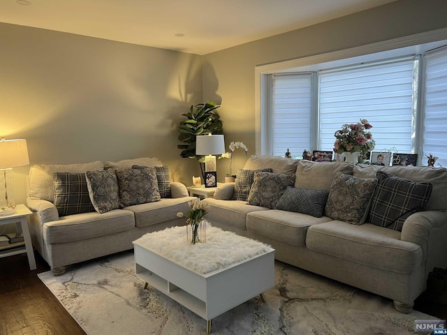 living room featuring dark hardwood / wood-style flooring