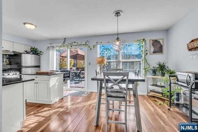 dining area with light hardwood / wood-style flooring