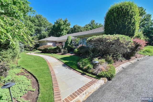 single story home featuring a front yard