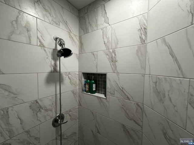 room details with tiled shower