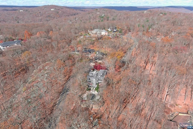 drone / aerial view featuring a mountain view