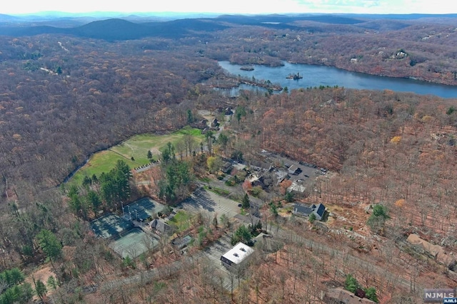 birds eye view of property with a water and mountain view