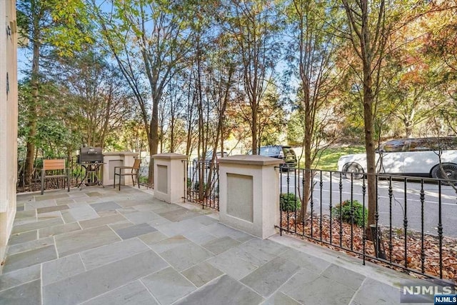 view of patio / terrace with area for grilling