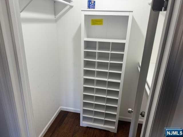 spacious closet featuring dark hardwood / wood-style flooring